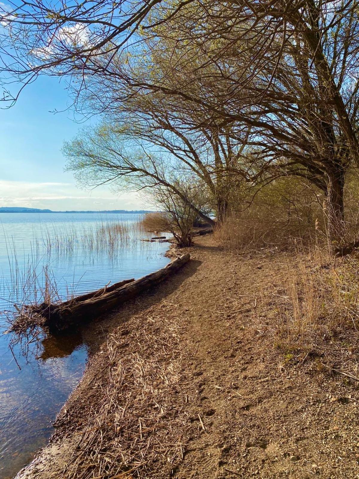 Chiemgauloft , 5 Sterne Ferienwohnung Am Chiemsee Übersee المظهر الخارجي الصورة